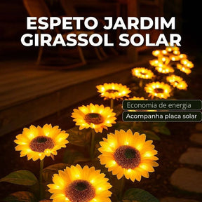Luz Solar de Natal em Girassol com 3 Flores