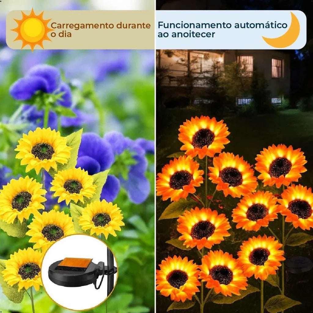 Luz Solar de Natal em Girassol com 3 Flores