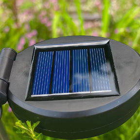 Luz Solar de Natal em Girassol com 3 Flores