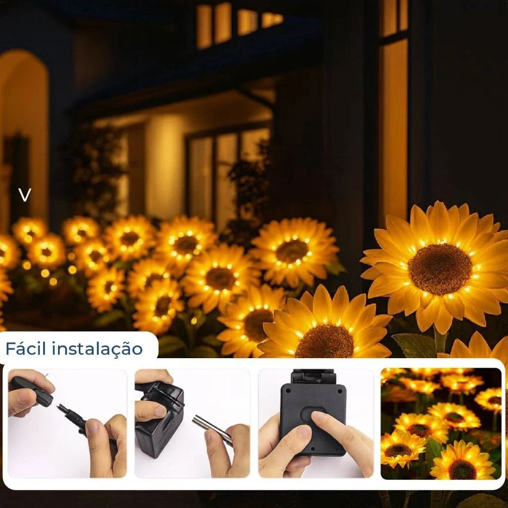 Luz Solar de Natal em Girassol com 3 Flores
