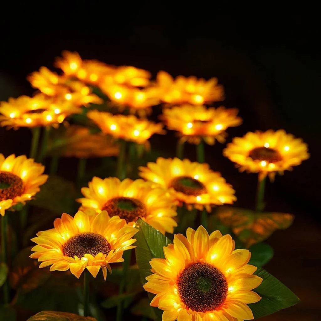 Luz Solar de Natal em Girassol com 3 Flores