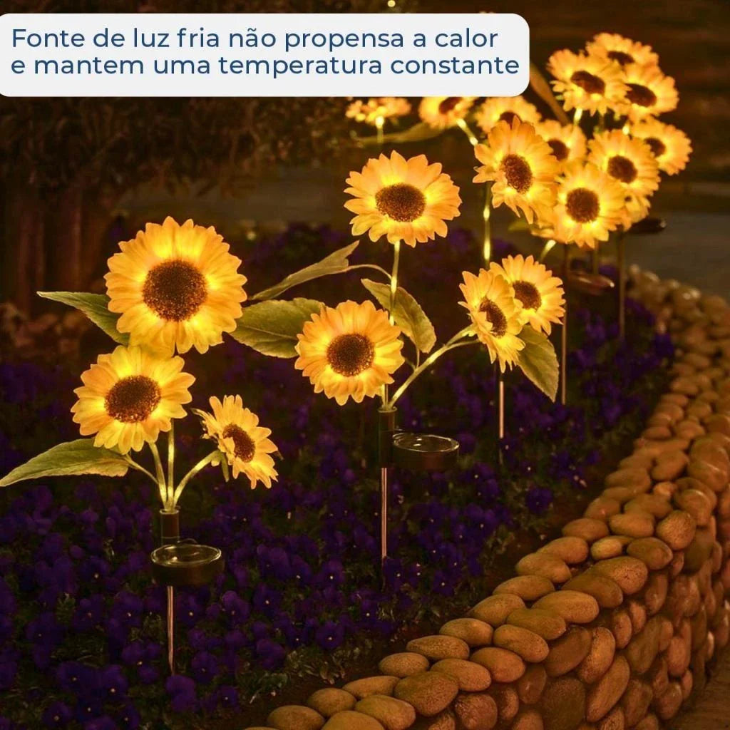 Luz Solar de Natal em Girassol com 3 Flores